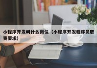 小程序开发叫什么岗位（小程序开发程序员职责要求）