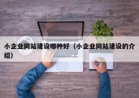 小企业网站建设哪种好（小企业网站建设的介绍）