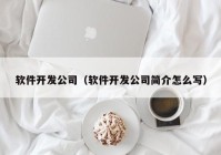 软件开发公司（软件开发公司简介怎么写）