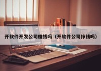 开软件开发公司赚钱吗（开软件公司挣钱吗）