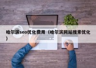 哈尔滨seo优化费用（哈尔滨网站搜索优化）