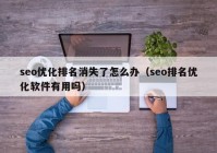 seo优化排名消失了怎么办（seo排名优化软件有用吗）